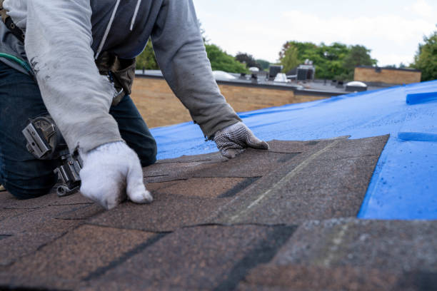 Best Metal Roofing Contractor  in Albion, IN