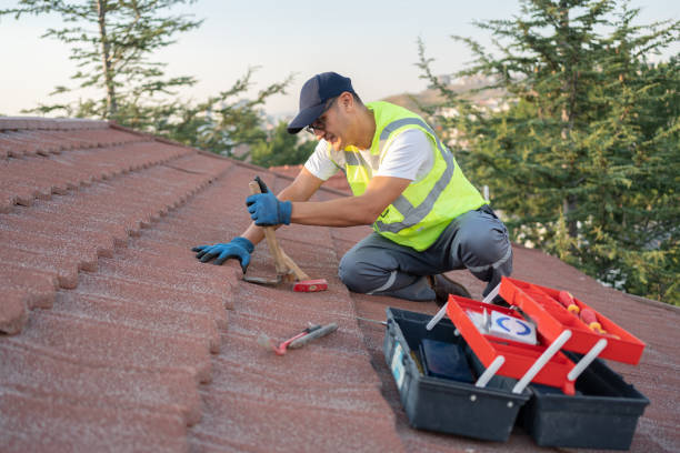 Best Storm Damage Roof Repair  in Albion, IN