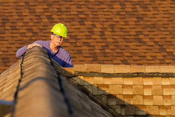 Trusted Albion, IN Roofing Contractor Experts